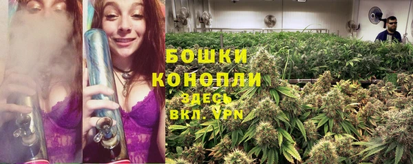 ПСИЛОЦИБИНОВЫЕ ГРИБЫ Алзамай