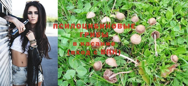 a pvp Алексин