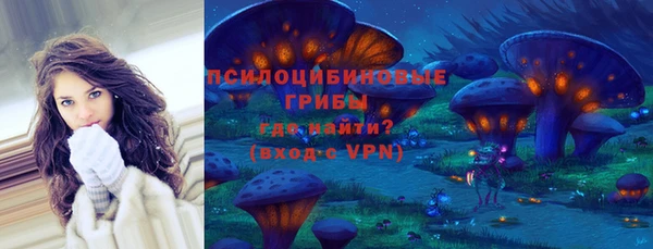 a pvp Алексин