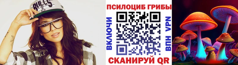 Галлюциногенные грибы Psilocybine cubensis  Североуральск 