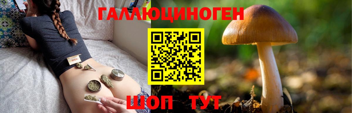 Североуральск  Галлюциногенные грибы Cubensis  Вход с VPN 